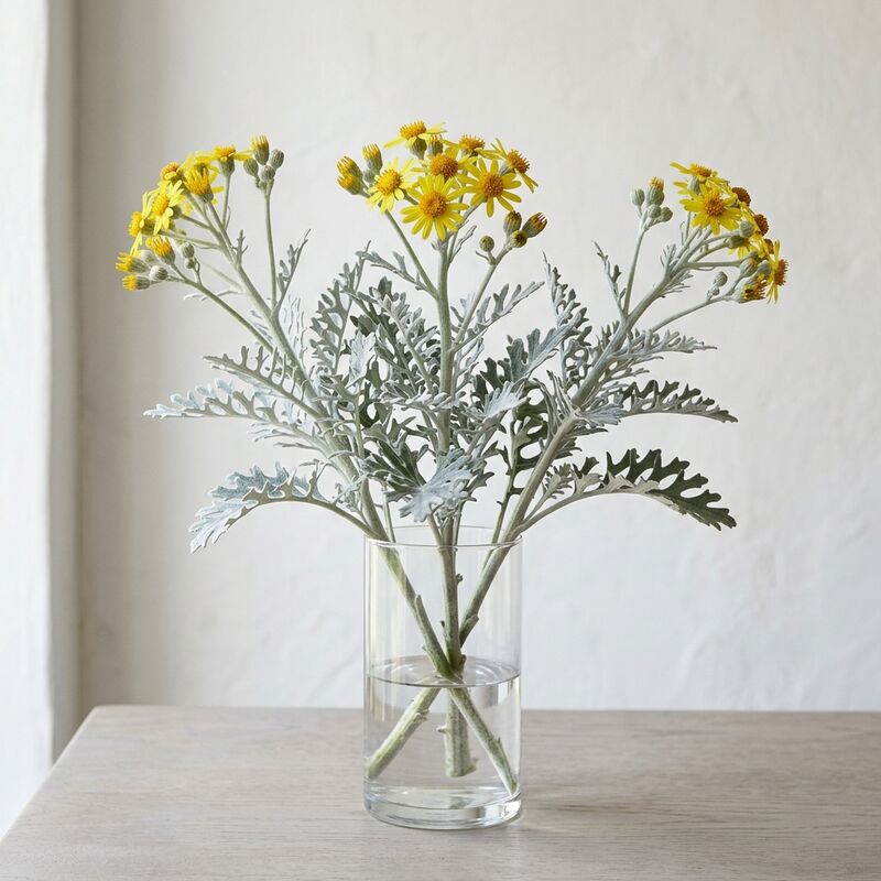 Steli recisi di Cineraria marittima (Jacobaea maritima) in un vaso di vetro