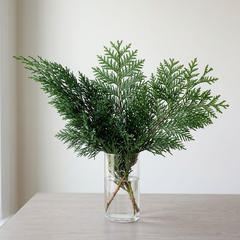 Schnittstiele von Wacholder und Lebensbaum (Juniperus chinensis, Platycladus orientalis) in einer Glasvase