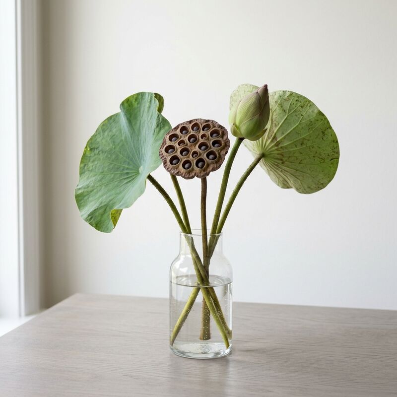 Schnittstiele von Lotuskapsel (getrocknet) (Nelumbo nucifera) in einer Glasvase