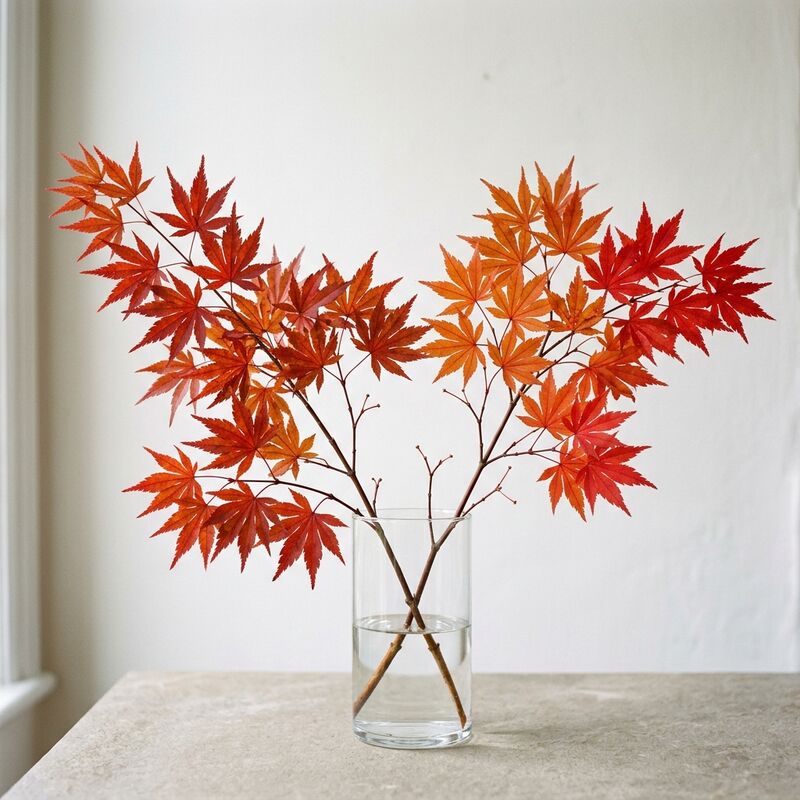 Branche d’érable (Acer palmatum) dans un vase en verre