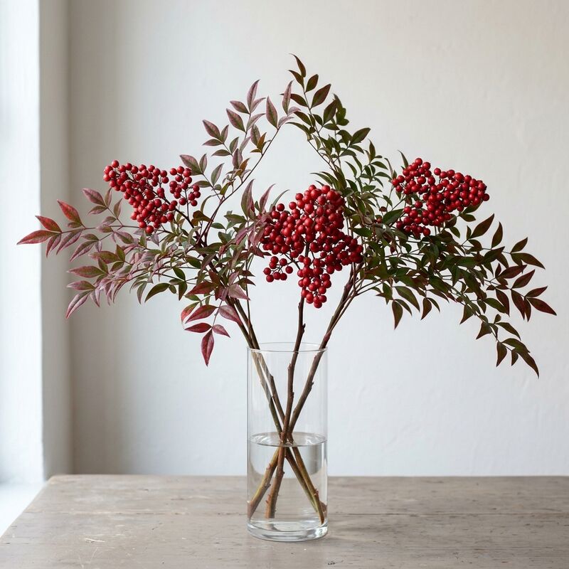 Schnittstiele von Himmelsbambus (Nandina) (Nandina domestica) in einer Glasvase